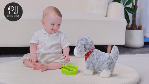 Interactive Border Collie Plush Toy – Realistic Stuffed Puppy That Walks & Sings – Electronic Musical Dog for Kids – Perfect Gift for Toddlers